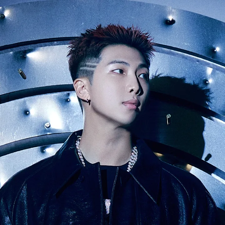 RM of BTS ? official portrait